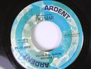 Hear Rock Promo 45 Big Star - When My Baby'S Beside Me / In The Street
