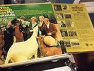 The Beach Boys - Pet Sounds MONO US FIRST PRESSING T 2458 SCRANTON PRESS LP