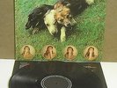 The World of Skin : Ten Songs for Another World EX/G+ yg lp 2 - M.Gira The Swans