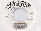RICKIE PAGE Why Did You Lie 45 RECORD TEEN Doo Wop LANDA RECORDS DJ listen 