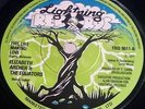 ELIZABETH ARCHER & THE EQUATORS - FEEL LIKE MAKING LOVE (ORIGINAL LIGHTNING 7