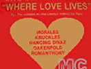 Alison Limerick - Where Love Lives - 12 Inch Vinyl - L