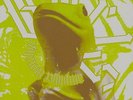 Boris Amplifier Worship LP