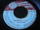 Shine & Bagga - Promised Land / Bob Andy - Desperate Lover - Supreme 45 Reggae