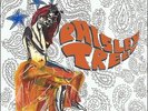 PAISLEY TREE - Paisley Tree - LP (Christian Jäger/Space Debris) Green Brain/Brei