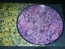 Bongzilla Methods for Attaining Extreme Altitudes LP Picture Disc NEW SEALED