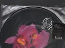 OPETH - orchid LP picture disc