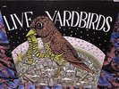 1968 SCARCE WITHDRAWN LP ORIG YARDBIRDS   LIVE 1968    LED ZEPPELIN PAGE Psych