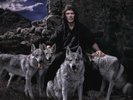 STEVE HACKETT - WOLFLIGHT (2LP+CD) 2 VINYL LP + CD NEW+