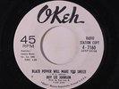 ROY LEE JOHNSON: Black Pepper Will Make You Sneeze / Too Many Tears 45 (dj) rar