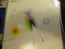 CAETANO VELOSO Bicho LP PHILIPS   Brazilian press bossa VG+ 70s bossa