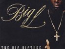 Big L - The Big Picture (1974 - 1999) '00 2xLP US ORG DJ Premier, Lord Finesse