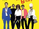 The B-52's [LP] by B-52's, The (Vinyl, Jan-2011, Mobile Fidelity Sound Lab Silve