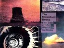 Life Of The World To Come - Mountain Goats (2009, Vinyl New)