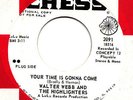 SOUL GROUP / FUNK -- WALTER WEBB & HIGHLIGHTERS --YOUR TIME IS GONNA COME/LULU