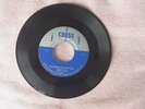 MUDDY WATERS: Don't Go No Farther / Diamonds At Your Feet  rare Blues & R&B