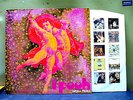 POOH-LP- 
