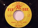 Soul 45 Collector-ITHACAS-GONNA FIX YOU GOOD-FEE BEE-Hear
