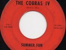 THE COBRAS IV - Summer Fun/Paper Memories - RARE mid 60s OHIO GARAGE