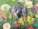 Current 93 Swastikas For Noddy Belgian vinyl LP album record LAY20 LAYLAH 1988