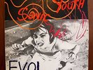 SONIC YOUTH Evol Vinyl LP 1986 Blast First NM Sister Daydream Nation Goo Nirvana