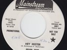 Fever Tree - Hey Mister / I Can Beat Your Drum - Mainstream Records 45 Promo 661