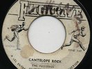 CANTELOPE ROCK / THE LECTURE  