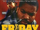 VARIOUS ARTISTS**FRIDAY (ADVISORY)**2 VINYL SET