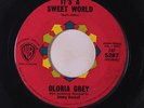 rare Soul R&B 45 GLORIA GREY it's a sweet world WB Hear