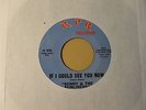 Sunny & The Sunliners-Rare Soul 45 on RPR-If I Could See You Now