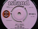 RARE UK PINK ISLAND 45 Tim Tam & The Turn-Ons Wait A Minute / Opelia MOD SURF