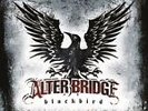 Blackbird by Alter Bridge (Vinyl, May-2013, 2 Discs, Music on Vinyl)