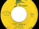 TINY FULLER on MARLIN - GREAT JUMP BLUES GUITAR TITTYSHAKER INSTRUMENTALS - HEAR