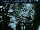 What A Wonderful World-The Great Satchmo Live - 2 DISC SET - L (2015, Vinyl NEW)