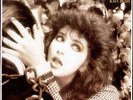 Kate Bush The Dreaming UK vinyl LP album record EMC3419 EMI 1982