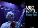 Heavy Feel - Larry Coryell (2015, Vinyl NEW)