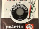 45 tr rare BIG BROWN AND THE GAMBLERS MY TESTAMENT IN PALETTE SLEEVE Rock & ROLL