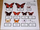 THE JAM / PAUL WELLER 'THE BUTTERFLY COLLECTOR' LIVE 1980 DOUBLE VINYL LP RARE