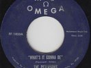 Northern Soul 45 - Petersons - What's It Gonna Be - Mel Omega - mp3 - rare