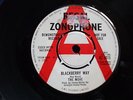 THE MOVE DEMO 45 -Blackberry Way - Regal Zonophone 1968