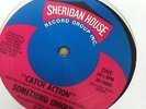 SOMTHING UNIQUE - CATCH ACTION - PRIVATE LA MODERN SOUL BOOGIE - SEALED