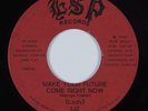 Modern Soul Synth Boogie 45 (LADY) LIZ Make Your Future Come Right Now ESP HEAR