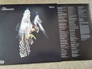 Courteeners LP Falcon 2010 vinyl