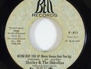 Shirley & The Shirelles 