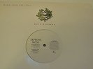 Vinilo 12
