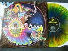 RAINBOW FFOLLY    