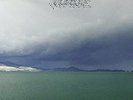 Fruit That Ate Itself - Modest Mouse (2014, Vinyl NEW)