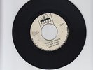 LIGHT OF SABA/WORDS OF WISDOM - MICHAEL RASTAR LIGHT OF SABA  (74  ROOTS  7
