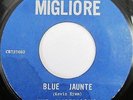  60s Garage Psych THE AMBERJACKS Hey Eriq b/w Blue Jaunte 45 MIGLIORE