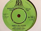 NORTHERN SOUL james and bobby 'shake a tail feather' promo
